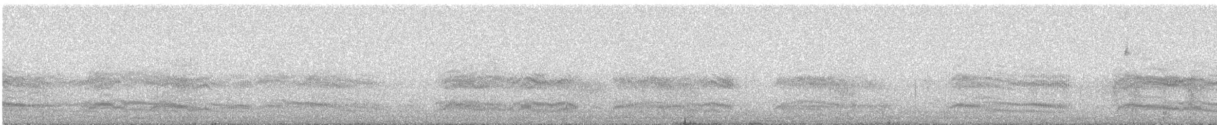 Gray-hooded Gull - ML642332922
