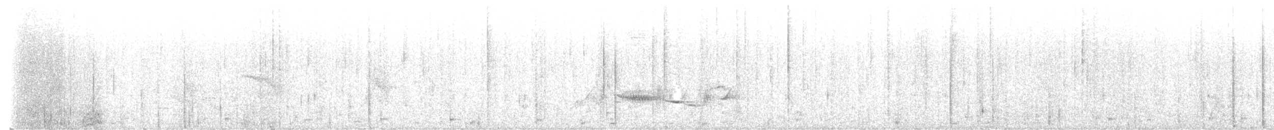 Puaiohi - ML642334567