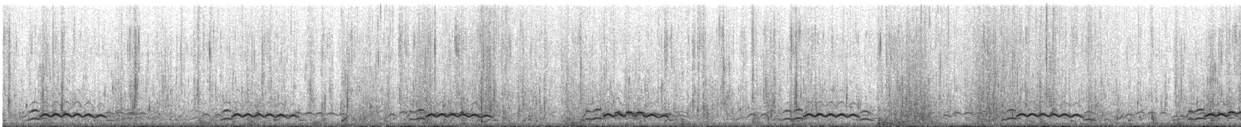 Common Loon - ML642339058