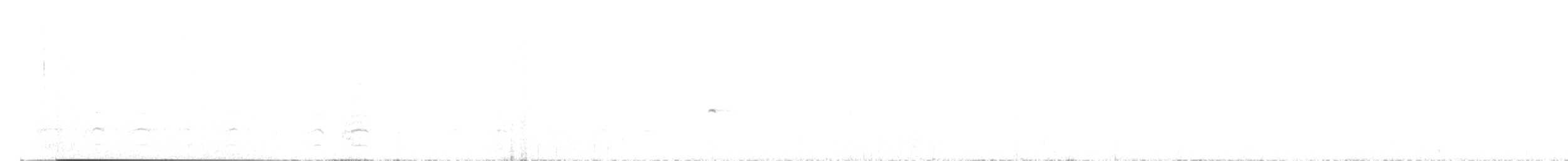 Belatz handia - ML642342593