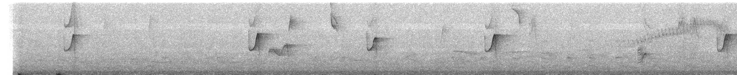 Atlantic Plain-Xenops - ML642342632