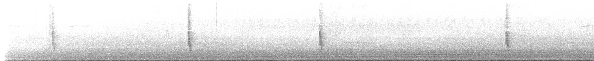 Northern Mockingbird - ML642342675