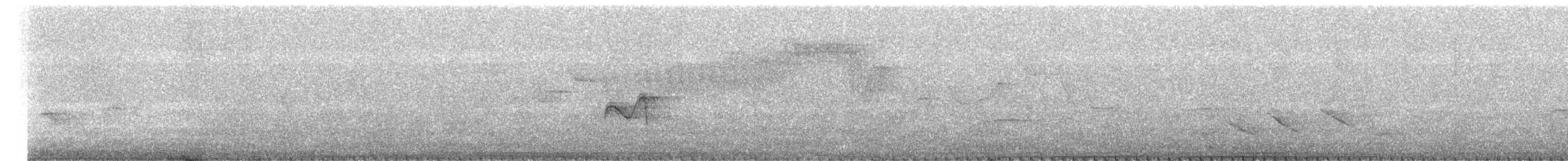 Greenish Elaenia - ML642343492