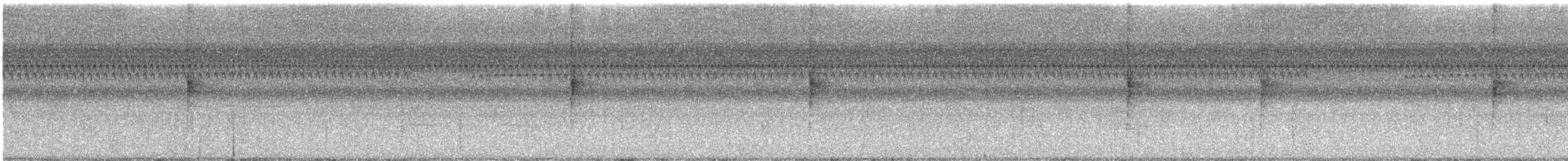 Northern Waterthrush - ML642346586