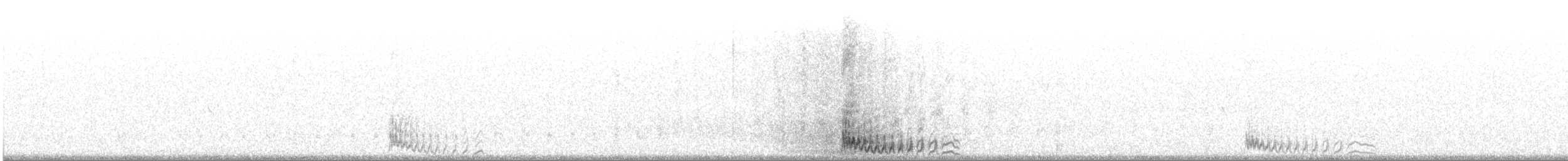 クロハラサケイ - ML642347284