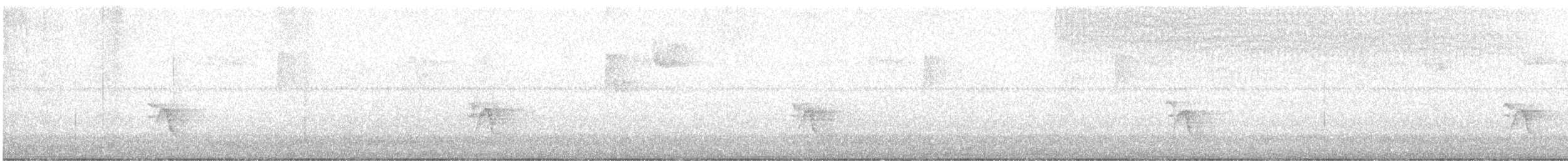 Gray-cheeked Thrush - ML642348408