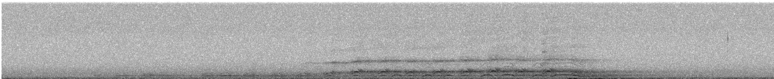 Barred Owl - ML642349698