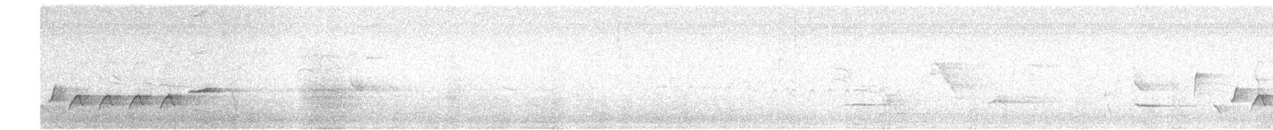 Sinaloa Wren - ML642353287