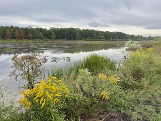 Sandy Ridge Reservation, Lorain, Ohio, United States - eBird Hotspot