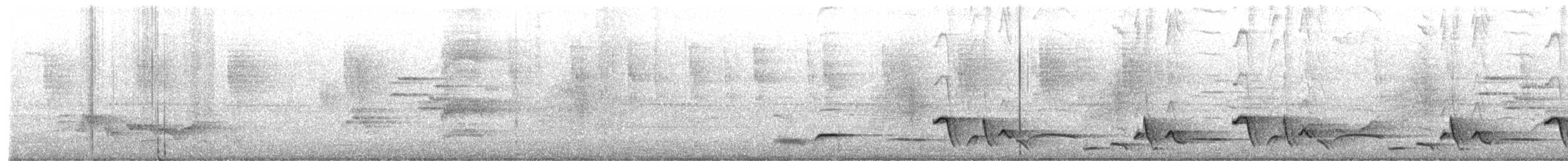 Whiskered Wren - ML642355719