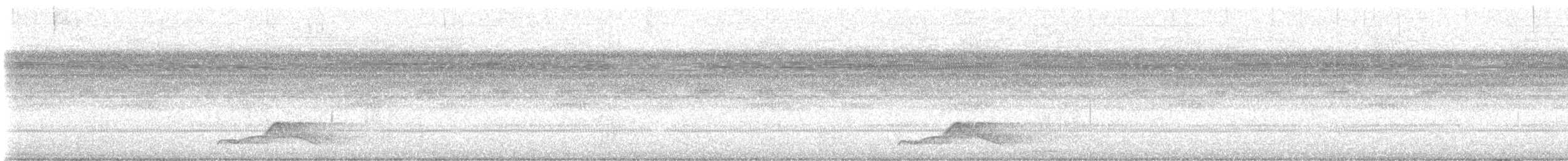 pauraquenattravn - ML642355732