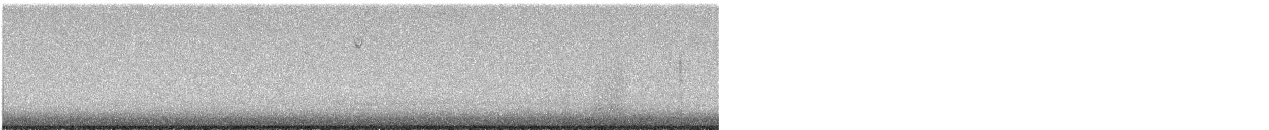new world sparrow sp. - ML642356814