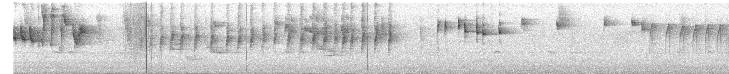 stripehodeparula - ML642358262