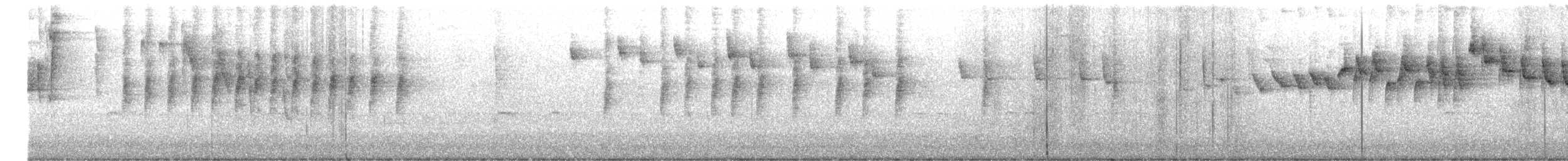 stripehodeparula - ML642358481