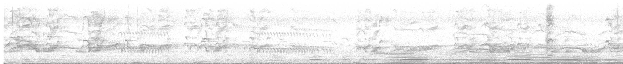 Rascón Gallineta - ML642360940