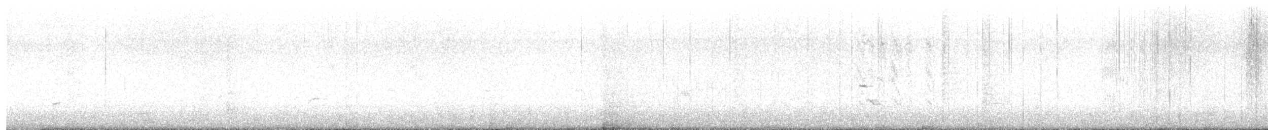 Common Loon - ML642361220
