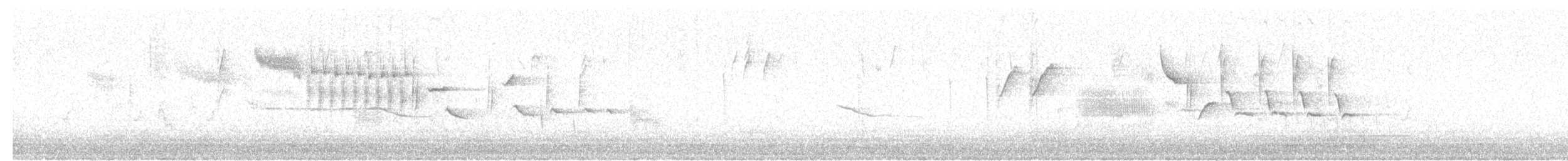 Troglodyte de Bewick - ML642361428
