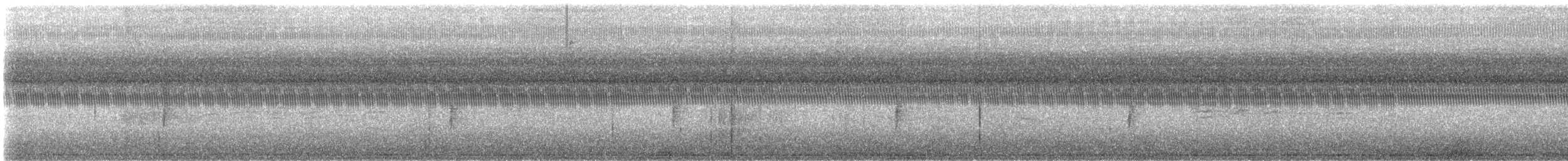 Connecticut Warbler - ML642362467