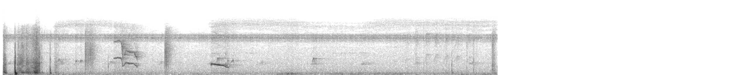 hvitskjeggmanakin - ML642362772