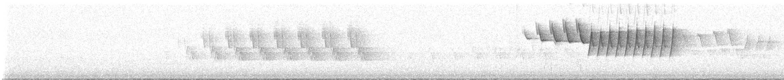 Nashville Warbler - ML642362817