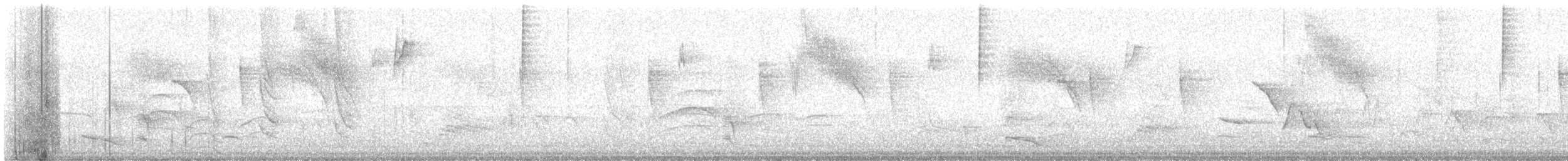 gulbukelenia - ML642362929
