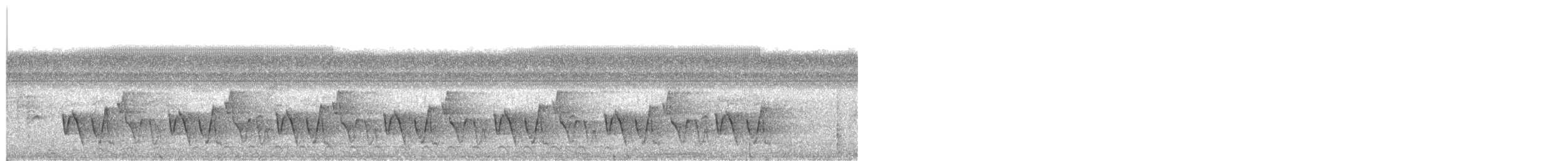 Buff-breasted Wren - ML642364476