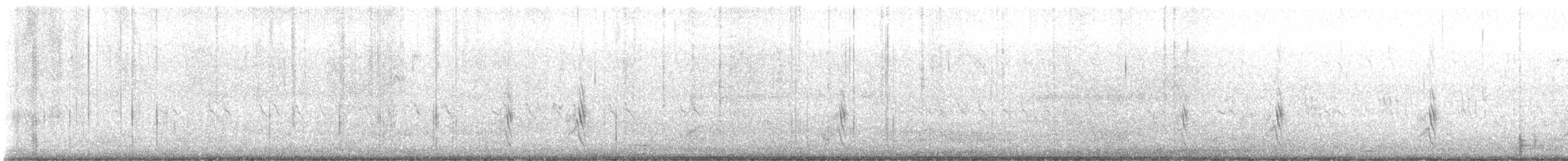 Semipalmated Plover - ML642364844