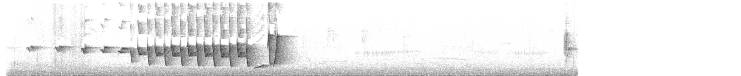 Noisy Scrub-bird - ML642365287