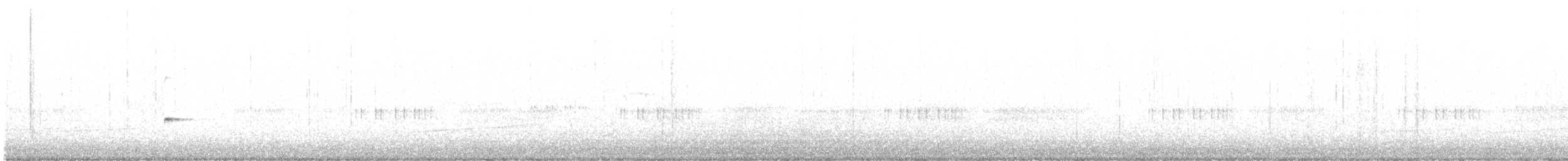 Noisy Scrub-bird - ML642365289