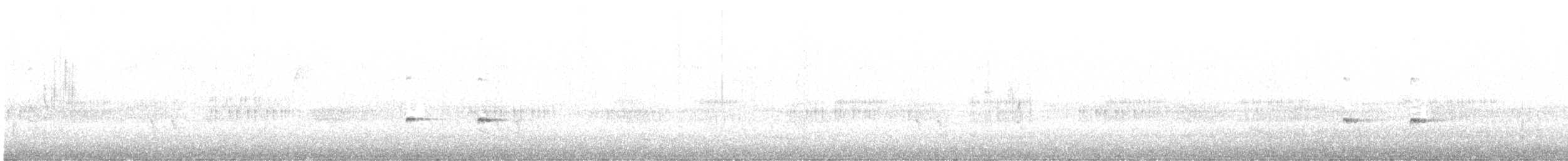 Noisy Scrub-bird - ML642365290