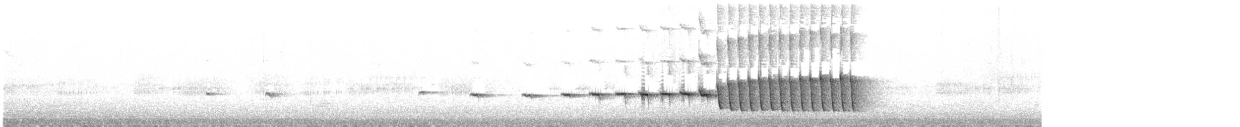 Noisy Scrub-bird - ML642365292