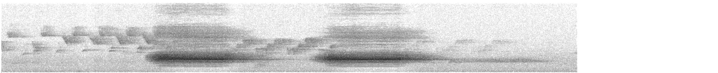 Paradise Riflebird - ML642366367