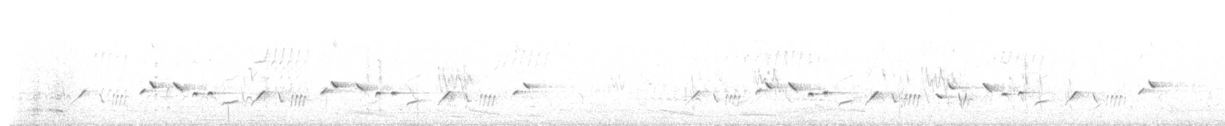 Western Fieldwren - ML642366446