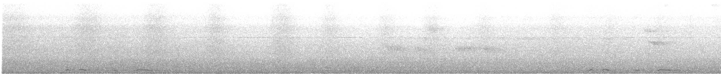 White-winged Dove - ML642368166