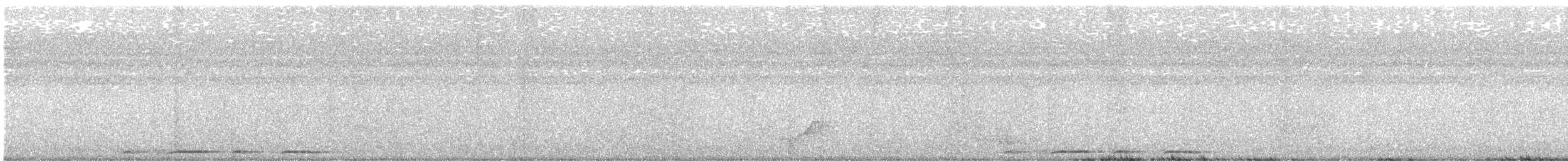 Bar-shouldered Dove - ML642370643
