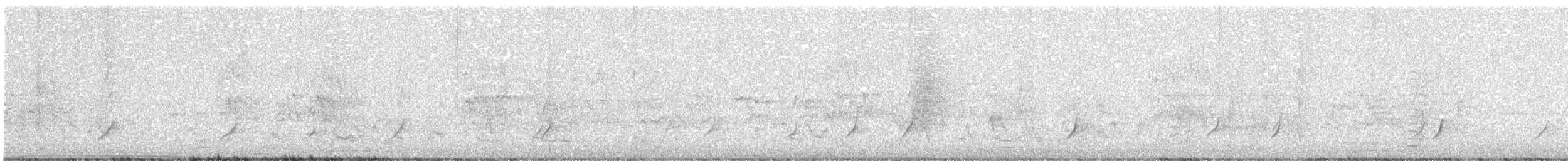 Méliphage à oreillons bleus - ML642370710