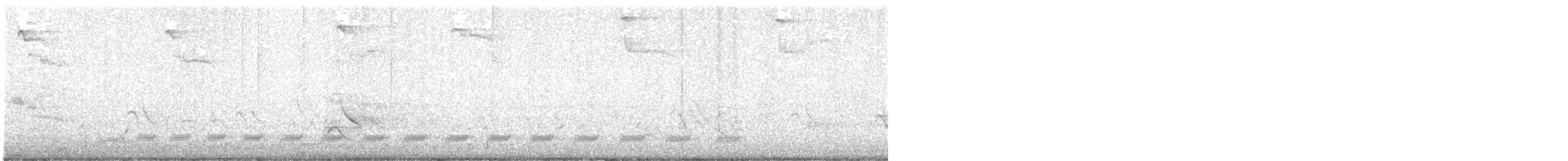 Silver-backed Butcherbird - ML642370728