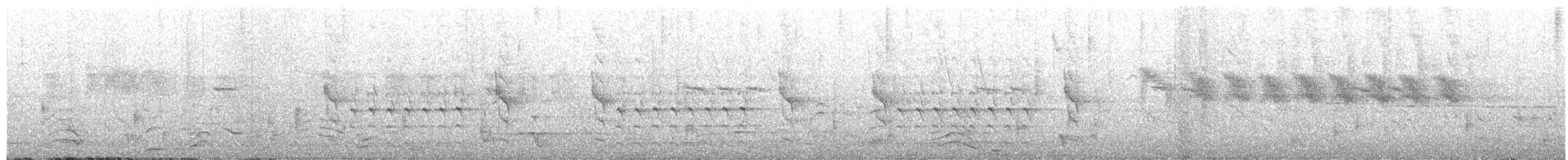 North Island Saddleback - ML642371401