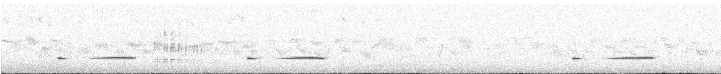 Little Grassbird - ML642371424