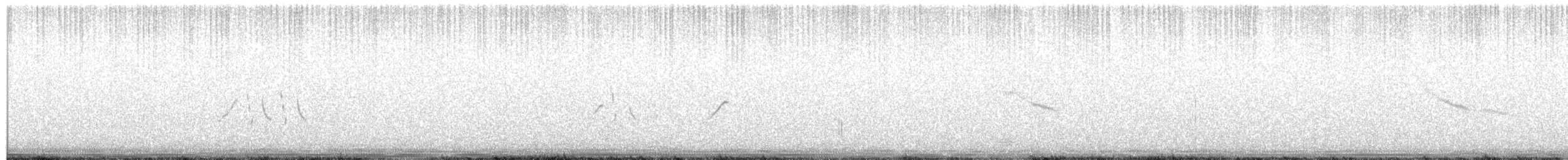 Бор шувууны багын тодорхойгүй зүйл - ML642372144