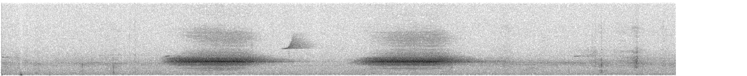 Paradise Riflebird - ML642372340