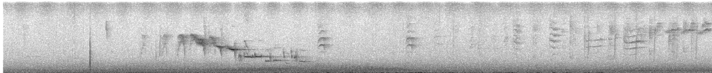 New Zealand Fantail - ML642372412