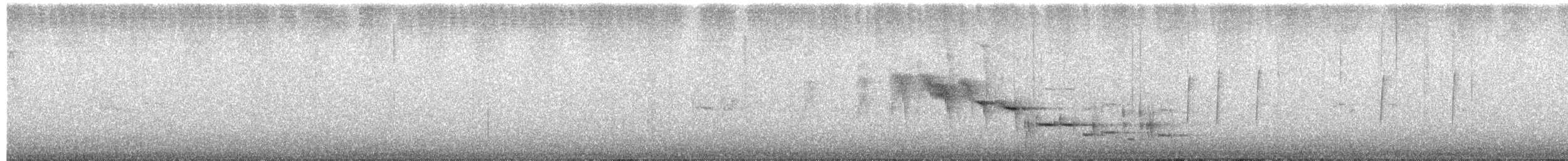 Tui - ML642372414