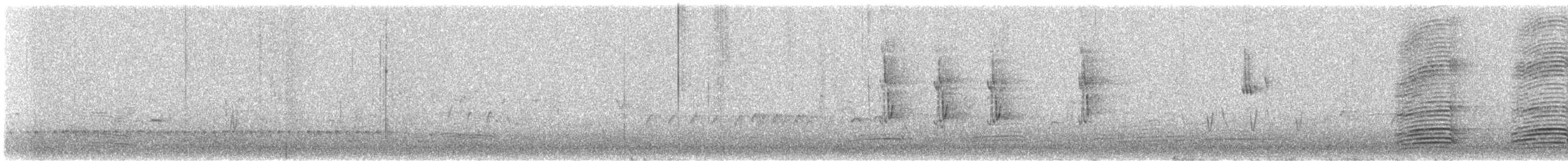 Australian Raven - ML642372745