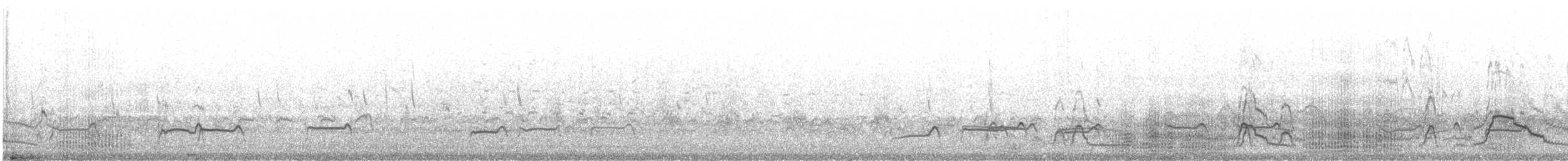 Eurasian Wigeon - ML642373076