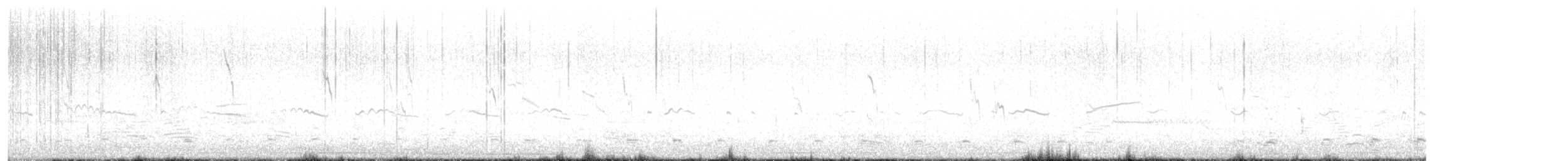Spioncello del Pacifico - ML642373145