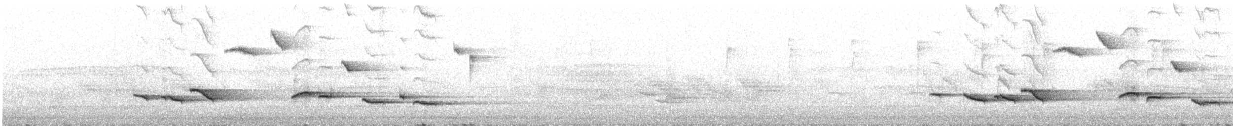 Orange Ground-Thrush - ML642374120