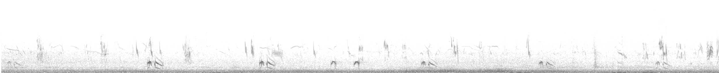 Spotted Sandgrouse - ML642375358