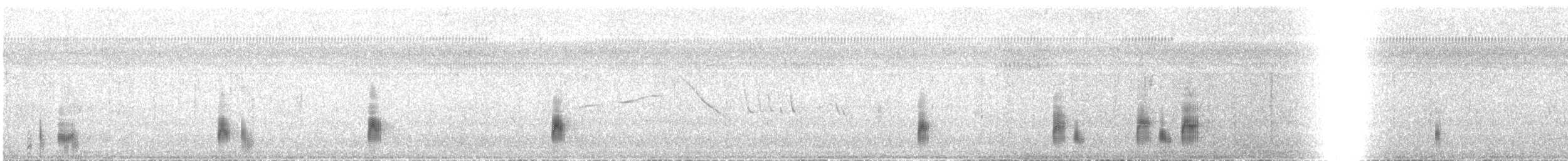 Lesser Swimming Frog - ML642375398