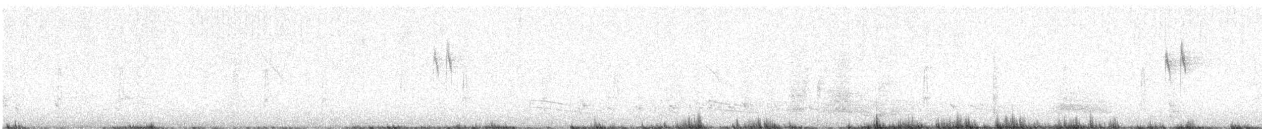 Bergeronnette des ruisseaux - ML642375590